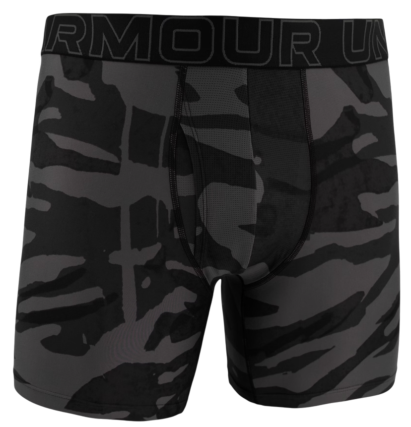 Boksere Under Armour Under Armour Graphic 6" Boxer Shorts Grå | 1383875-004