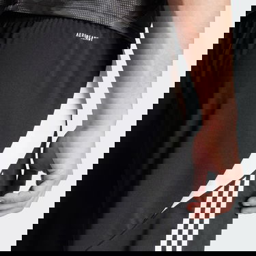 Shorts adidas Performance Tiro 24 Sort | IR9376, 5