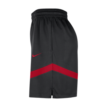 Shorts Nike Dri-FIT NBA Chicago Bulls Icon Practice Sort | FB4018-010, 3