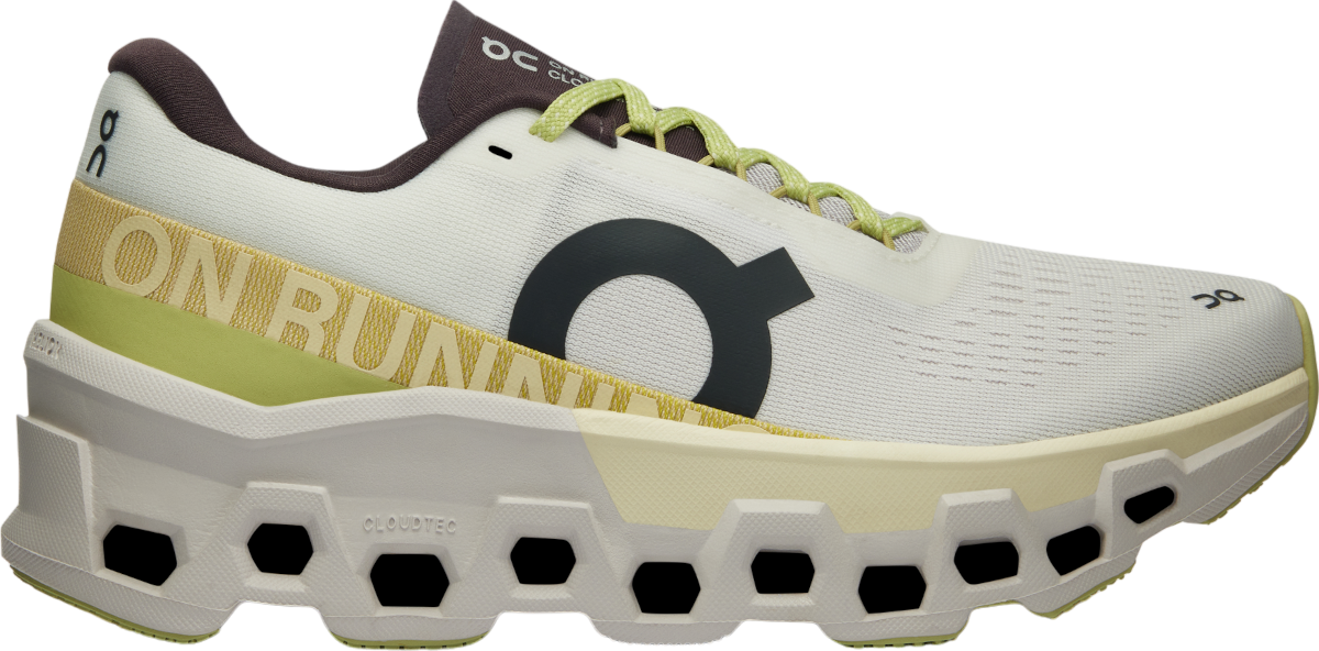 Sneakers og sko On Running Cloudmonster 2 Grå | 3we10112260, 0