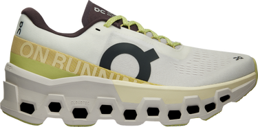 Sneakers og sko On Running Cloudmonster 2 Grå | 3we10112260, 0