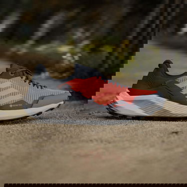 Sneakers og sko adidas Performance Terrex Trail Rider GORE-TEX Rød | IG8930, 4