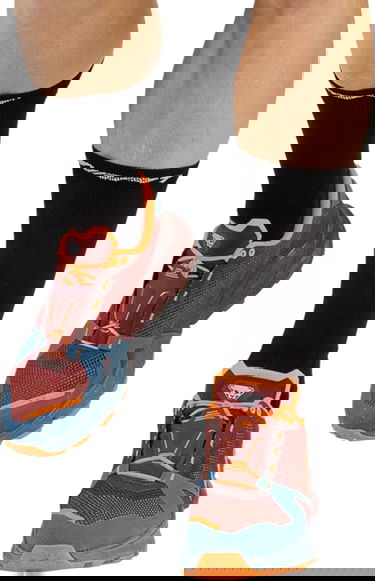 Sneakers og sko Dynafit ULTRA 100 Bourgogne | 08-0000064084-1571, 1