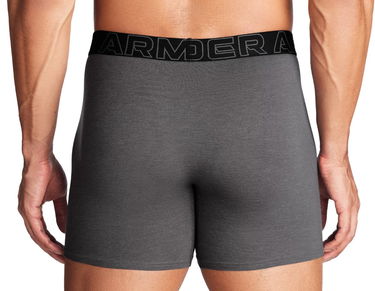 Boksere Under Armour Perf Cotton 6in-GRY Grå | 1383889-025, 1