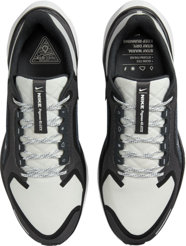 Sneakers og sko Nike Pegasus 41 GORE-TEX Sort | fq1356-002, 2