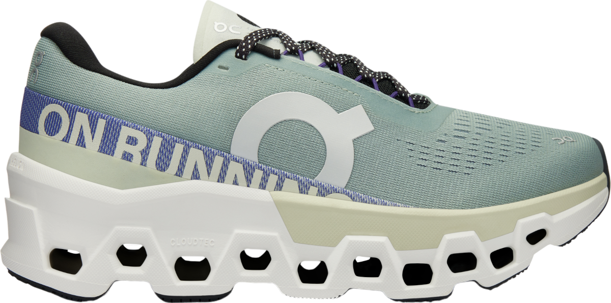 Sneakers og sko On Running Cloudmonster 2 Grå | 3we10112078, 0