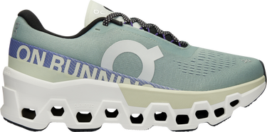 Sneakers og sko On Running Cloudmonster 2 Grå | 3we10112078, 0