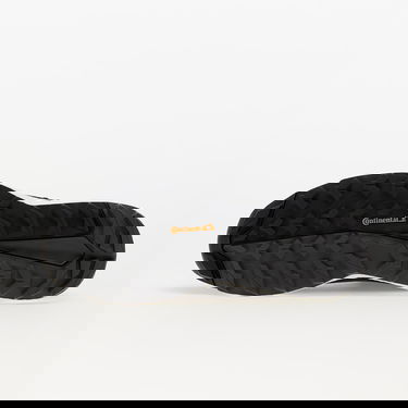 Sneakers og sko adidas Performance Terrex Free Hiker 2 GTX Sort | HP7818, 4