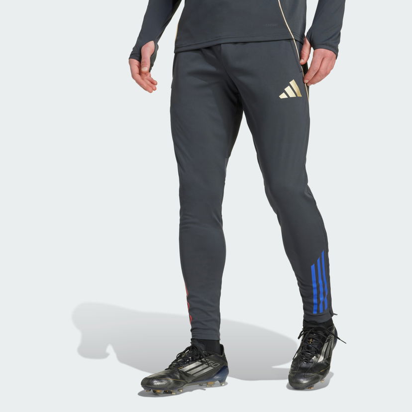 Joggingbukser adidas Performance Olympique Lyon Tiro 25 Competition Training Pants Grå | JL7707