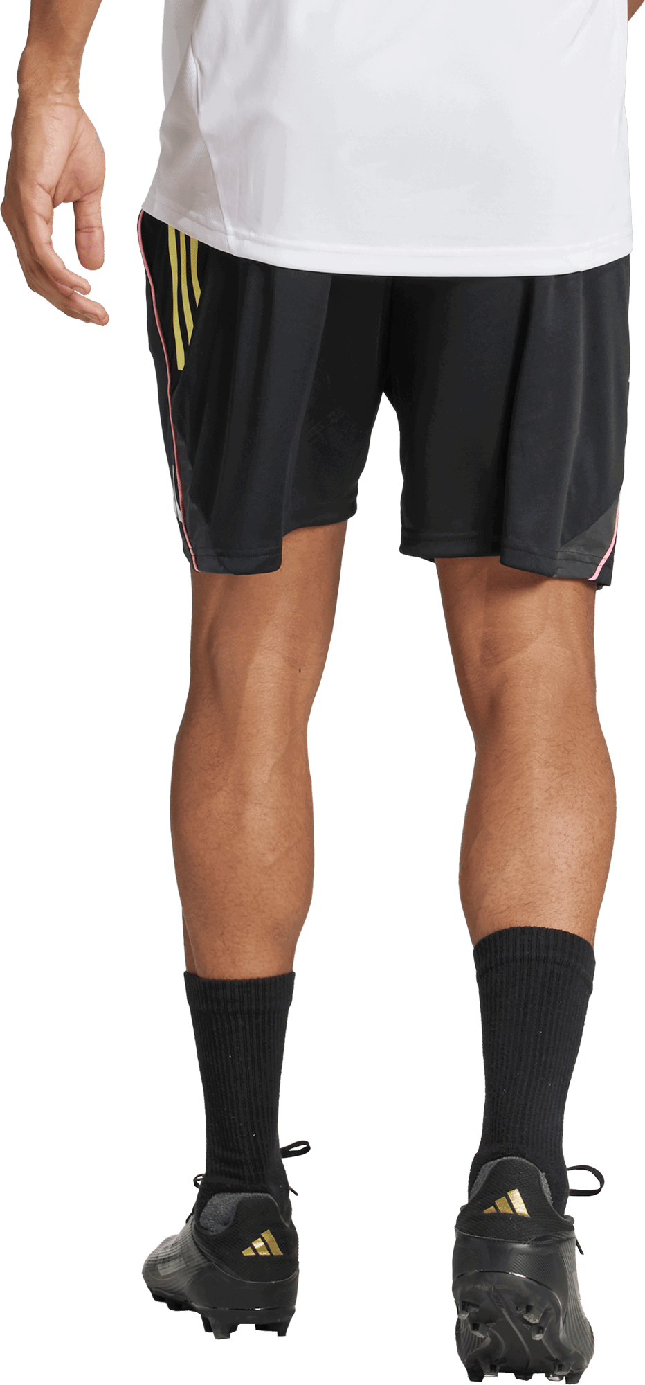Shorts adidas Originals Juventus Training Shorts 2025/26 Sort | jn7457, 1