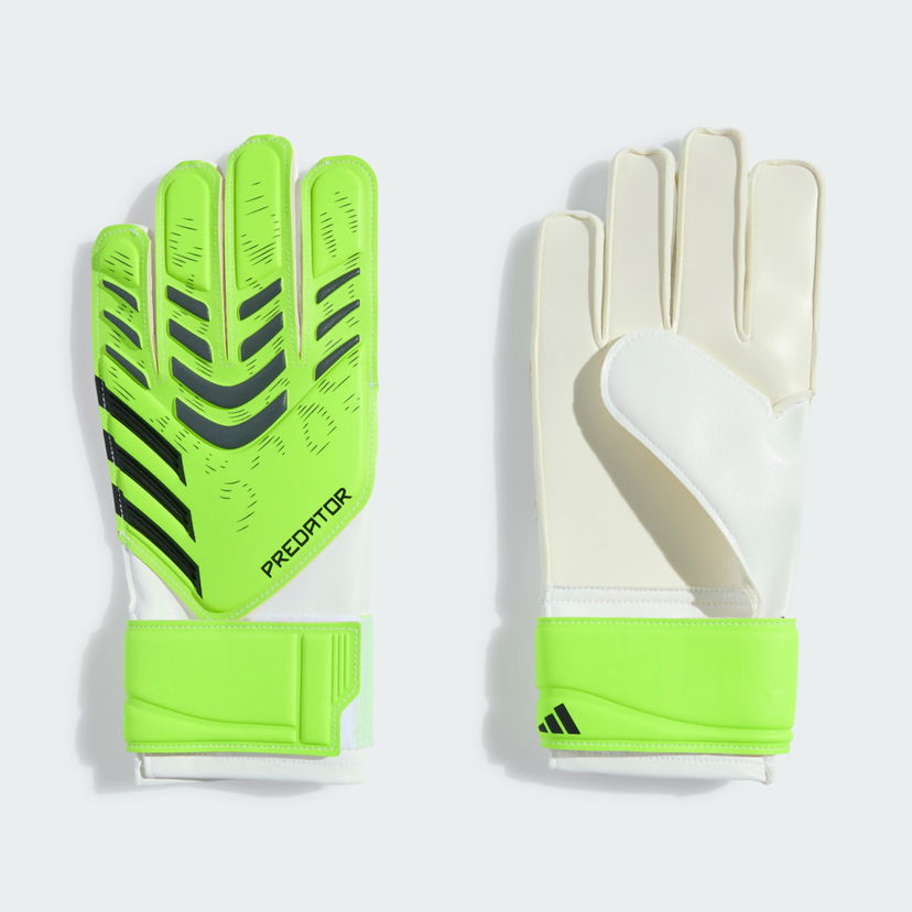 Handsker adidas Performance Predator Training Goalkeeper Gloves Grøn | JN5362
