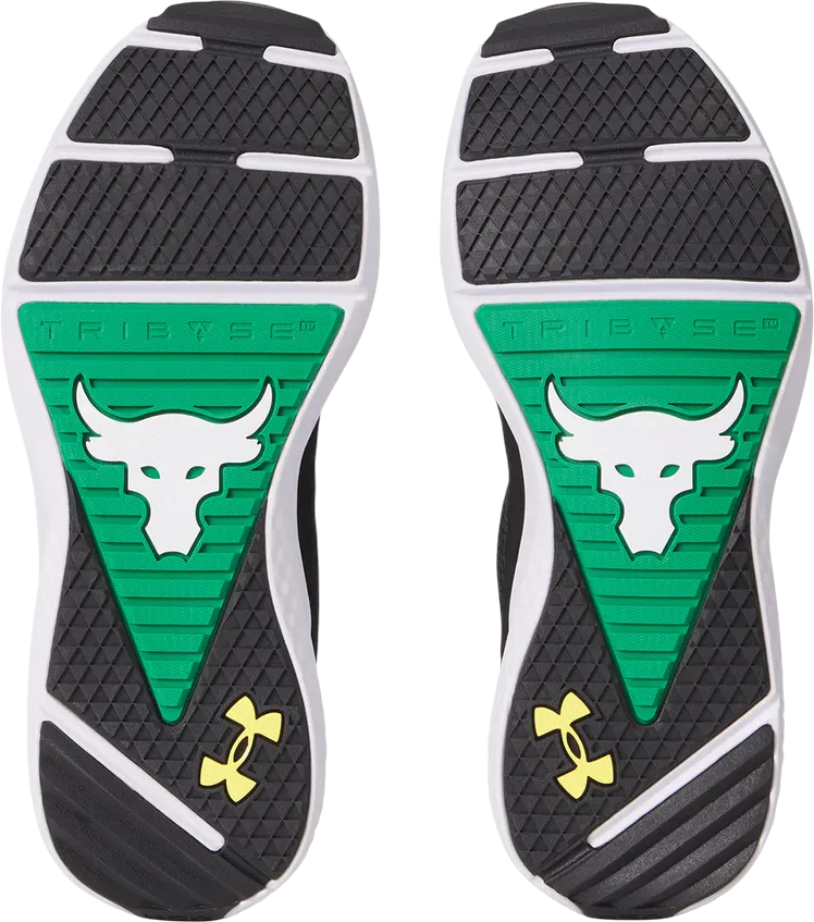 Sneakers og sko Under Armour Project Rock BSR 5 UFC Sort | 3028283-004, 1