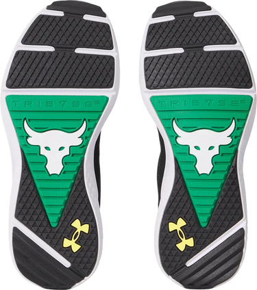 Sneakers og sko Under Armour Project Rock BSR 5 UFC Sort | 3028283-004, 1