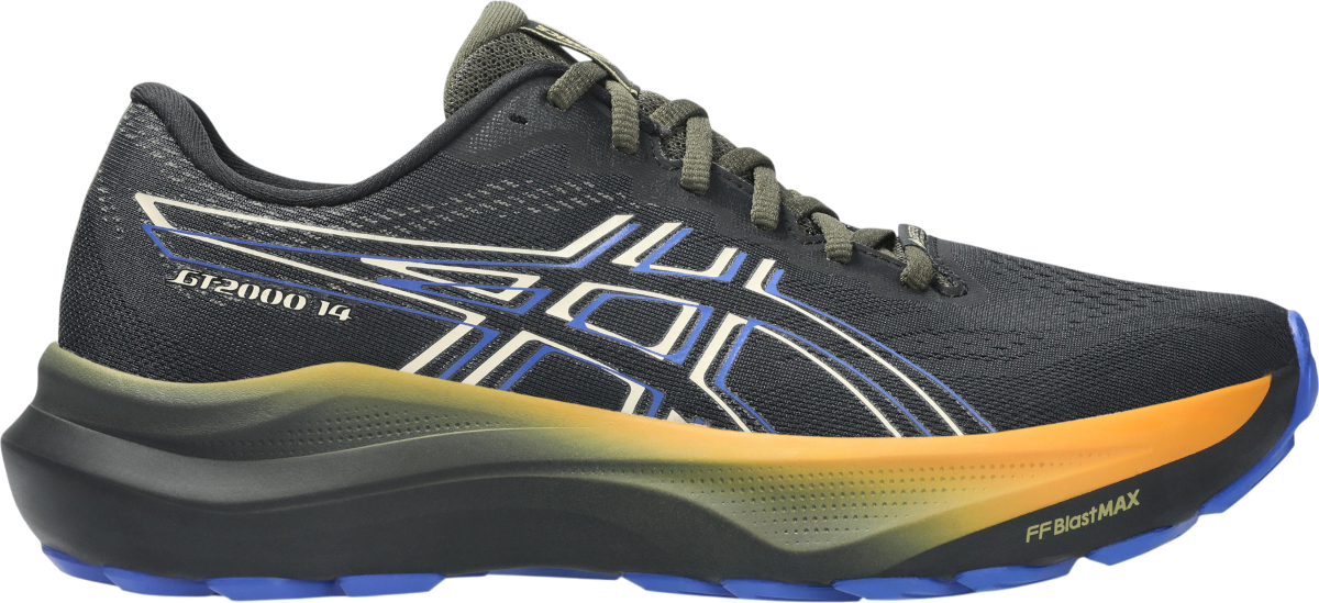 Sneakers og sko Asics GT-2000 14 GTX Sort | 1011c058-001, 0