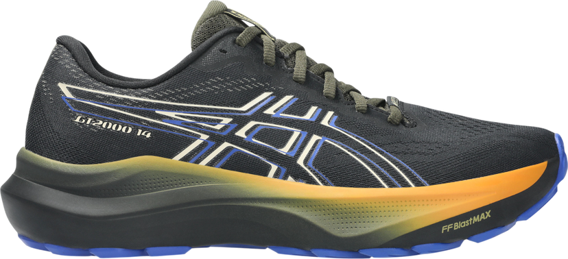Sneakers og sko Asics GT-2000 14 GTX Sort | 1011c058-001