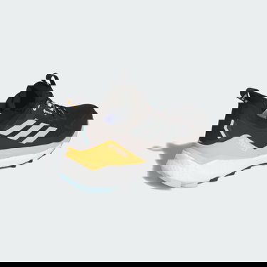 Sneakers og sko adidas Performance Terrex Free Hiker 2.0 Low GORE-TEX Hiking Sort | IG5460, 5