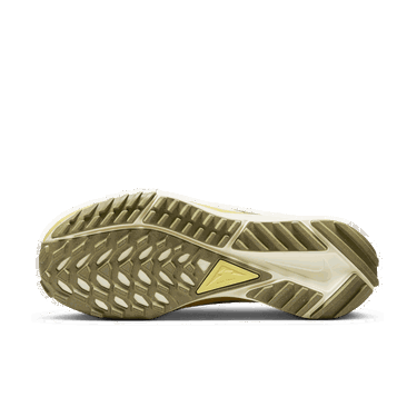Sneakers og sko Nike Pegasus Trail 4 W Beige | FJ4732-001, 1