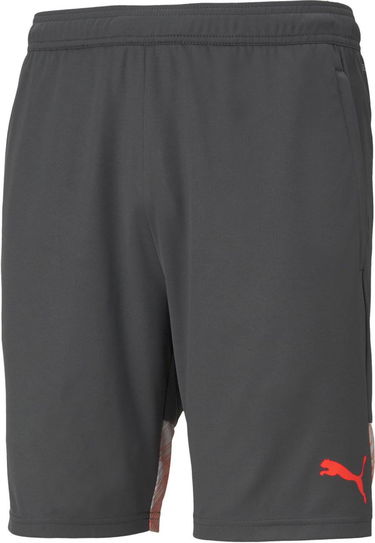 Shorts Puma individualCUP Shorts Grå | 65721341, 0