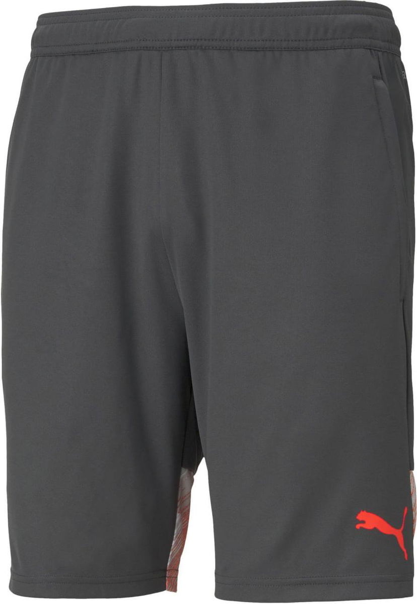 Shorts Puma individualCUP Shorts Grå | 65721341