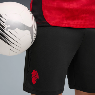 Shorts Puma AC Milan Training Shorts with Pockets 2025/26 Sort | 782370-04, 2