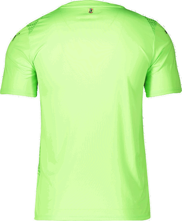 Jersey Puma 1. FC Heidenheim Goalkeeper Jersey 2025/26 by Puma Grøn | 5fch706280-20, 1