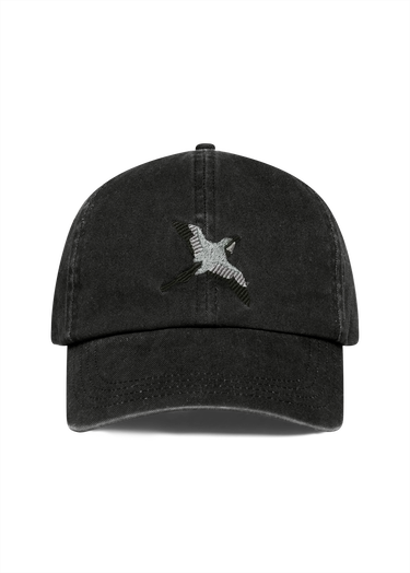 Kasket AXEL ARIGATO Bee Bird Embroidered Cap Sort | X3553001, 1