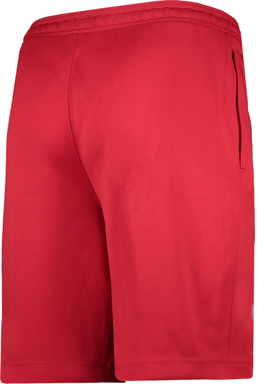 Shorts Nike Nike Strike22 Shorts Rød | dh9363-687, 1