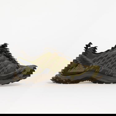Sneakers og sko Salomon XA Pro 3D GTX Grøn | L47867900, 1