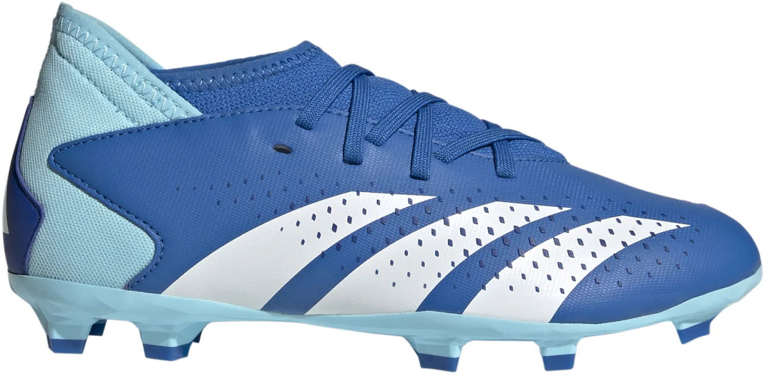 Sneakers og sko adidas Performance Predator Accuracy.3 FG Blå | ie9503, 0