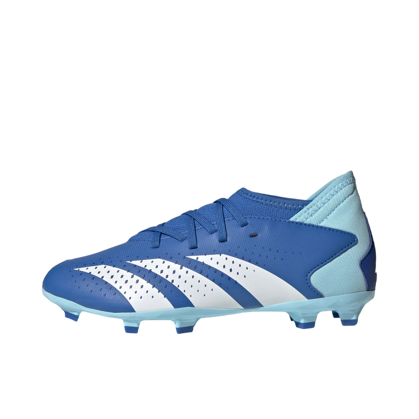 Sneakers og sko adidas Performance Predator Accuracy.3 FG Blå | ie9503