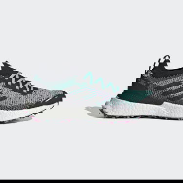 Sneakers og sko adidas Performance Terrex Two Ultra Primeblue Turkis | H69064, 0
