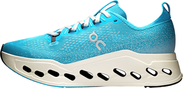 Sneakers og sko On Running On Running Cloudsurfer Max Turkis | 3wf30224289, 3