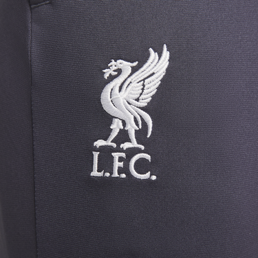 Leggings Nike Dri-FIT Liverpool FC Strike Grå | FN7322-015, 2