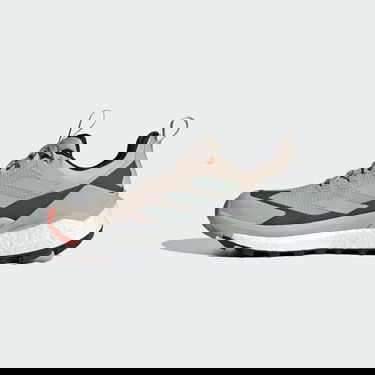 Sneakers og sko adidas Performance Terrex Free Hiker 2.0 Low GORE-TEX Beige | IG3202, 6