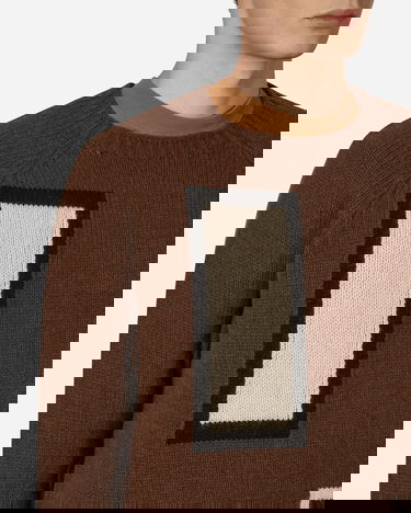 Sweater Levi's Raglan Sweater Brun | A2981 0000, 5