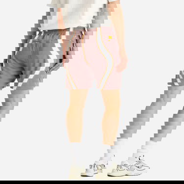 Shorts Nike Project F.R.O.G. Woven Shorts Brun | HJ6944-204, 3