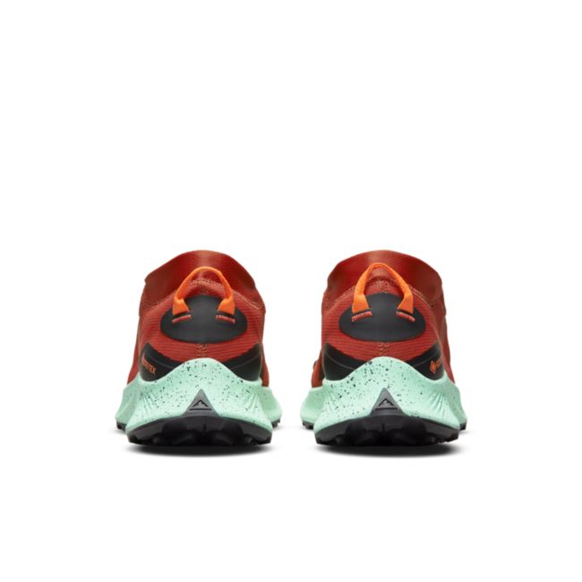 Sneakers og sko Nike Pegasus Trail 3 Orange | DC8793-800, 1