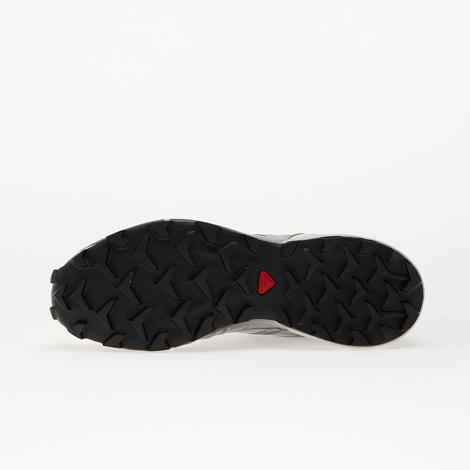 Sneakers og sko Salomon SPEEDCROSS 3 Grå | L47859700, 1