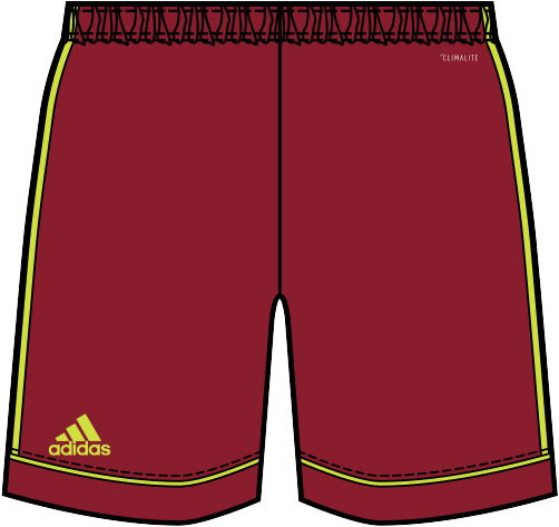 Shorts adidas Performance Squadra 17 Shorts Bourgogne | cf0394, 0