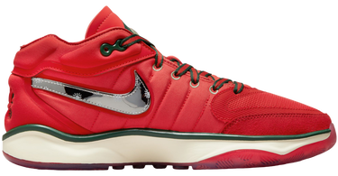 Sneakers og sko Nike AIR ZOOM G.T. HUSTLE 2 Rød | dj9405-601, 0