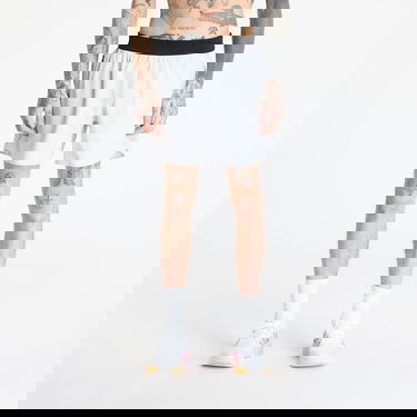 Shorts Under Armour Peak Grå | 1376782-014, 4
