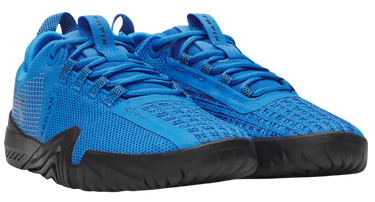 Sneakers og sko Under Armour TriBase Reign 6 Blå | 3027341-402, 3