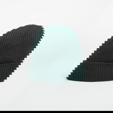 Beanie Patagonia Patagonia Fisherman's Rolled Beanie Grøn | 29105 CASG, 1