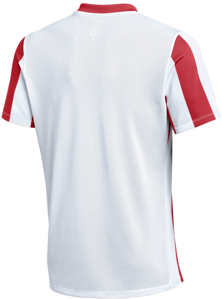 Jersey Nike Nike Striped Division V Jersey Rød | fz9337-104, 1