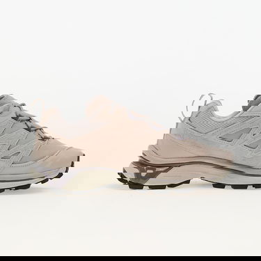 Sneakers og sko Salomon XT-6 Expanse LTR Beige | L47733500, 2