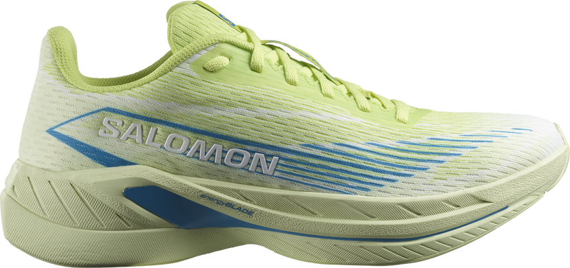 Sneakers og sko Salomon SPECTUR 2 Grøn | l47566900