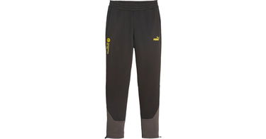 Bukser og jeans Puma BVB FtblCulture Grå | 771871-14, 1