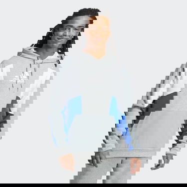 Sweatshirt adidas Performance Essentials Colorblock Hoodie Grå | HY5930, 1