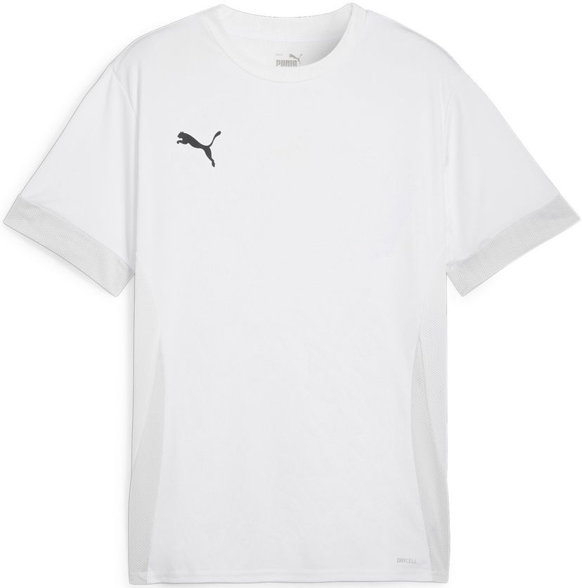 Jersey Puma teamGOAL Matchday Jersey Grå | 705747-04