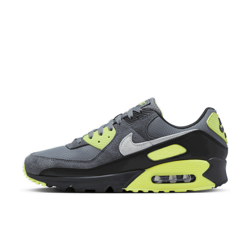 Sneakers og sko Nike Air Max 90 Grå | DM0029-012